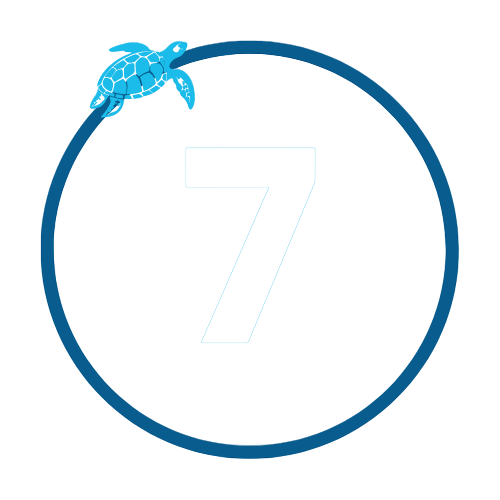 4-Photoroom 4-Photoroom