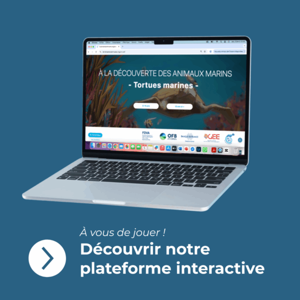 plateforme visuel plateforme visuel