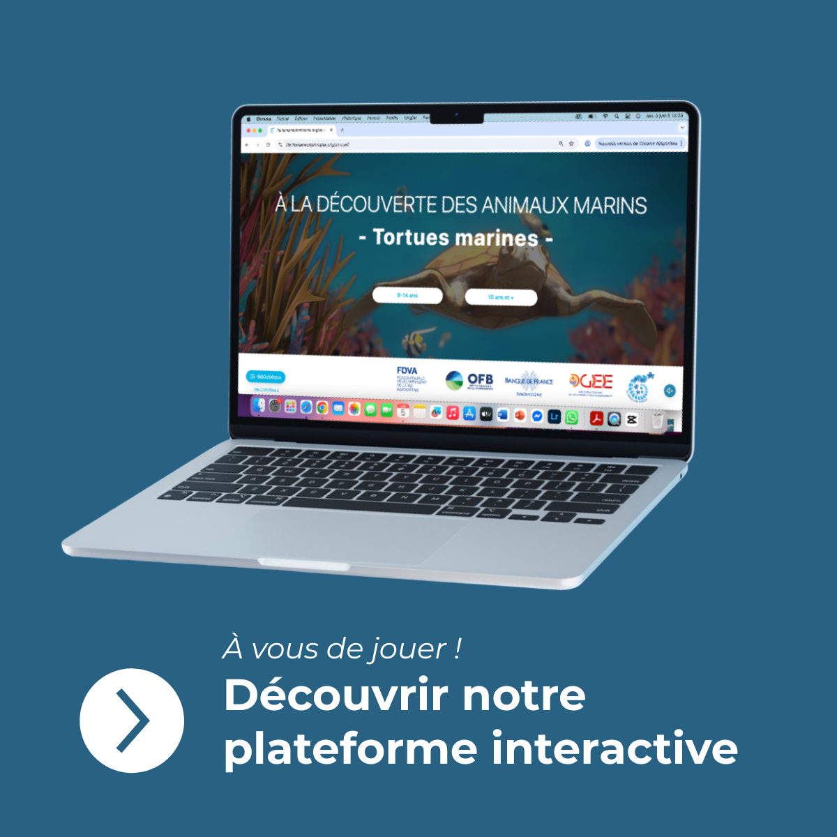 plateforme visuel