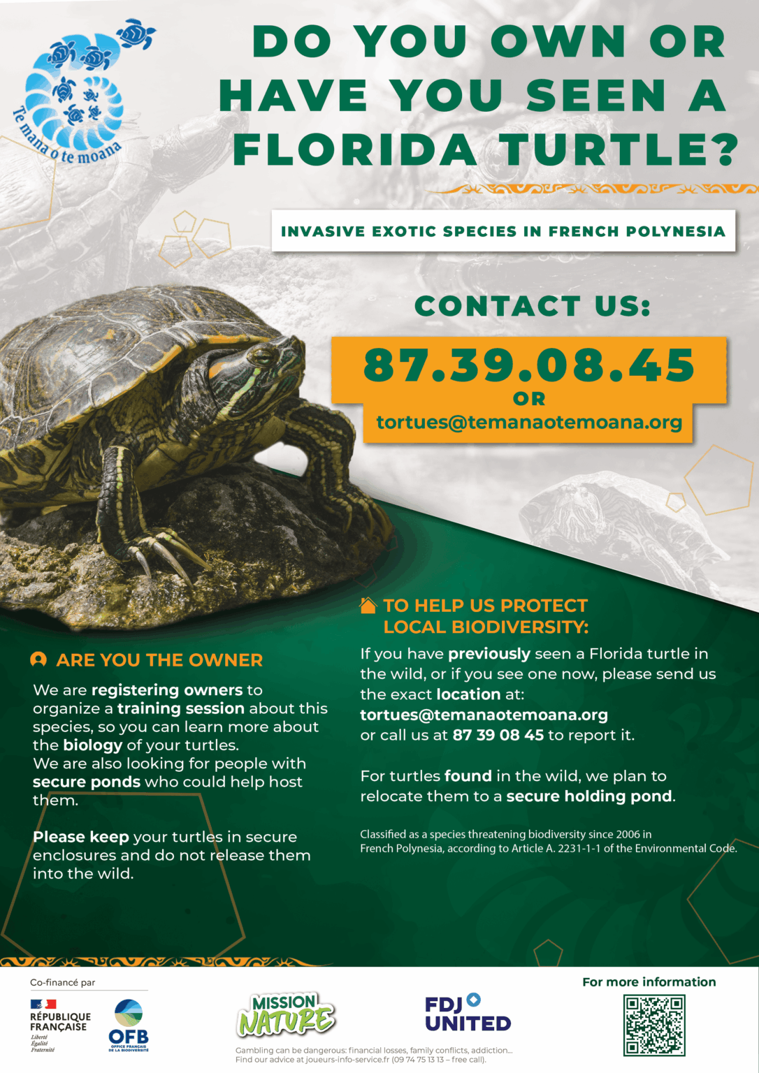 AFFICHE_A4_TORTUE_DE_FLORIDE_ANG