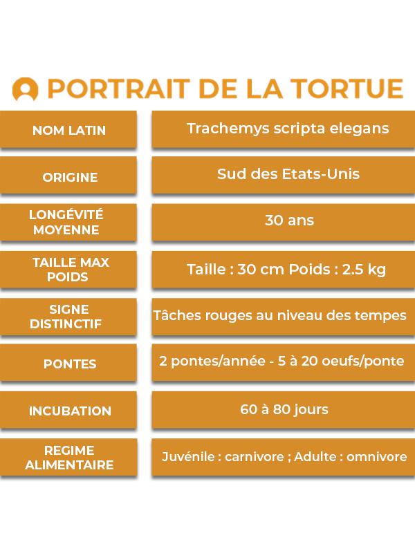 TABLEAU_DESCRIPTIF