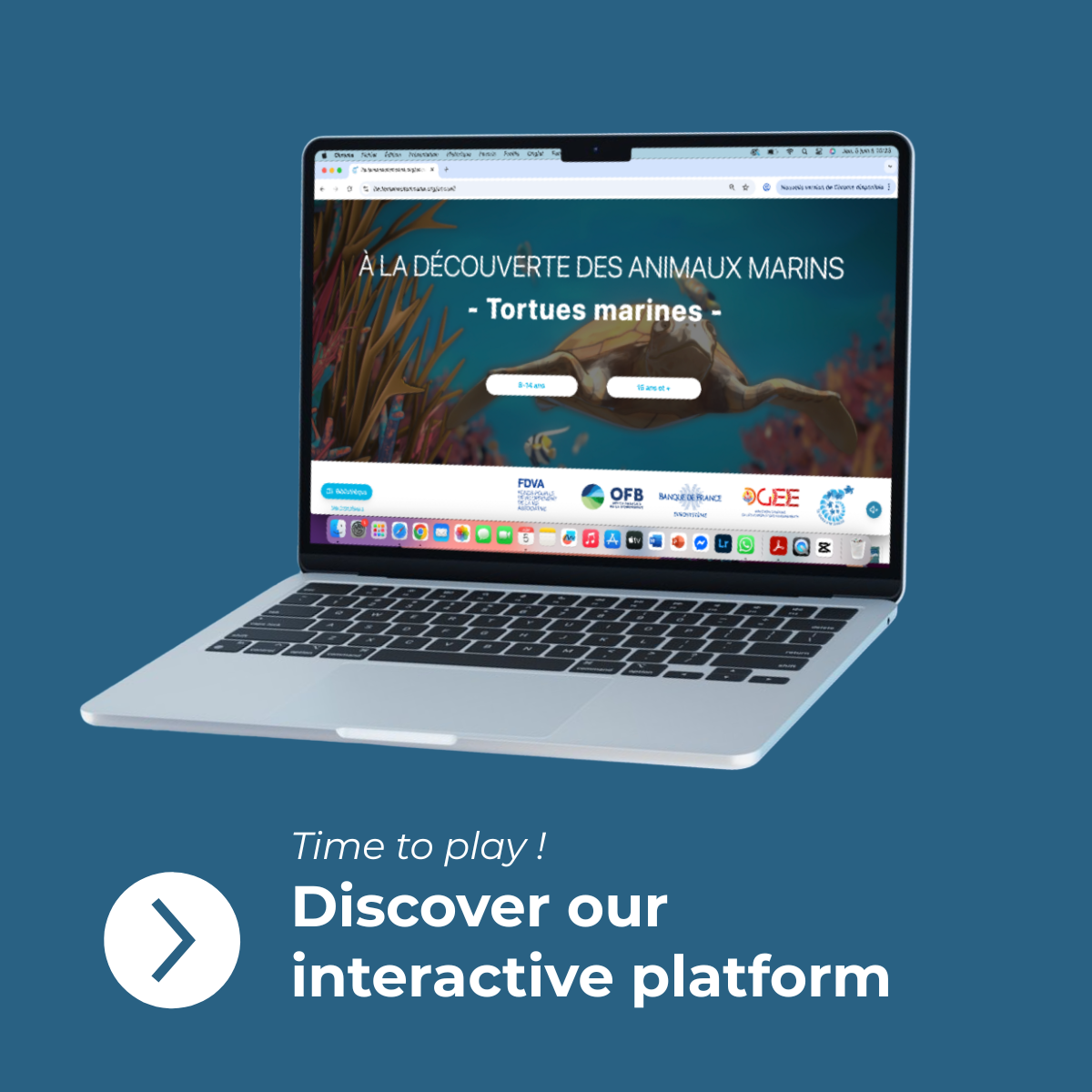 plateforme visuel-2
