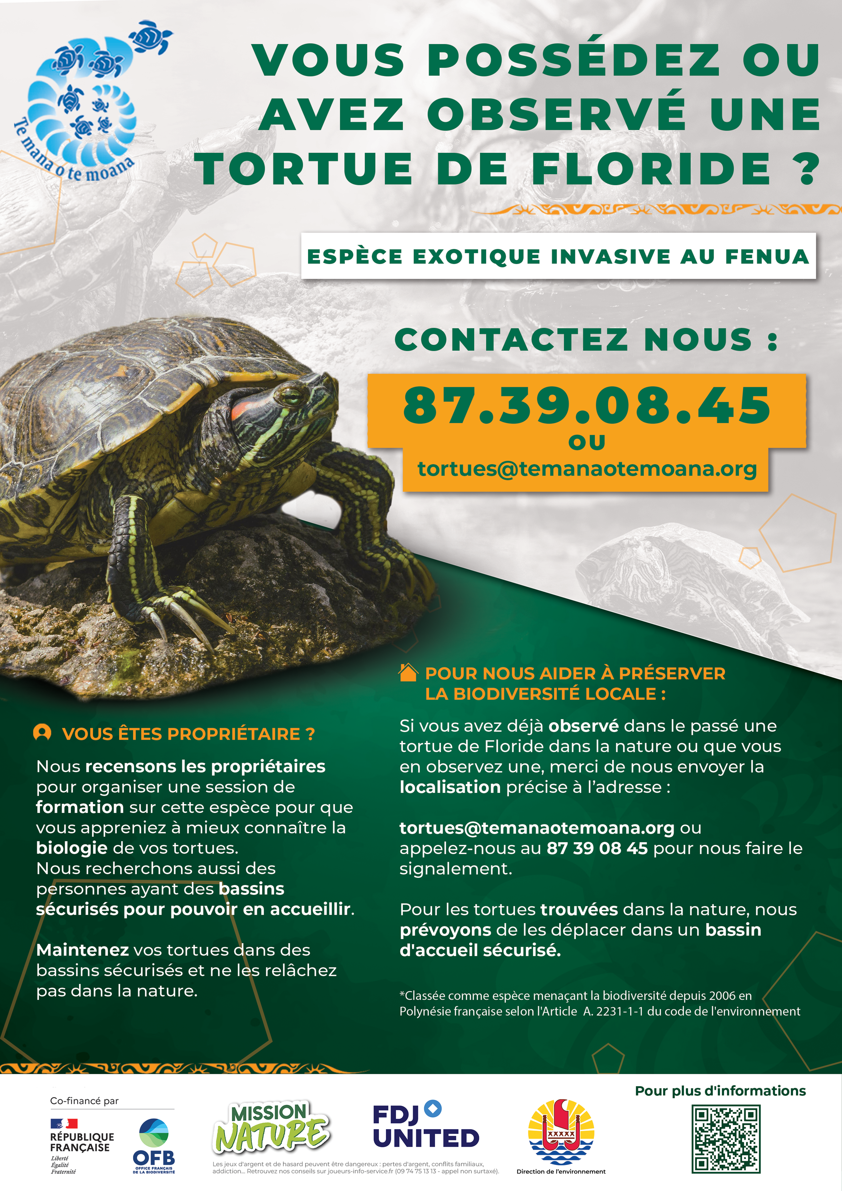 AFFICHE_A4_TORTUE_DE_FLORIDE_6