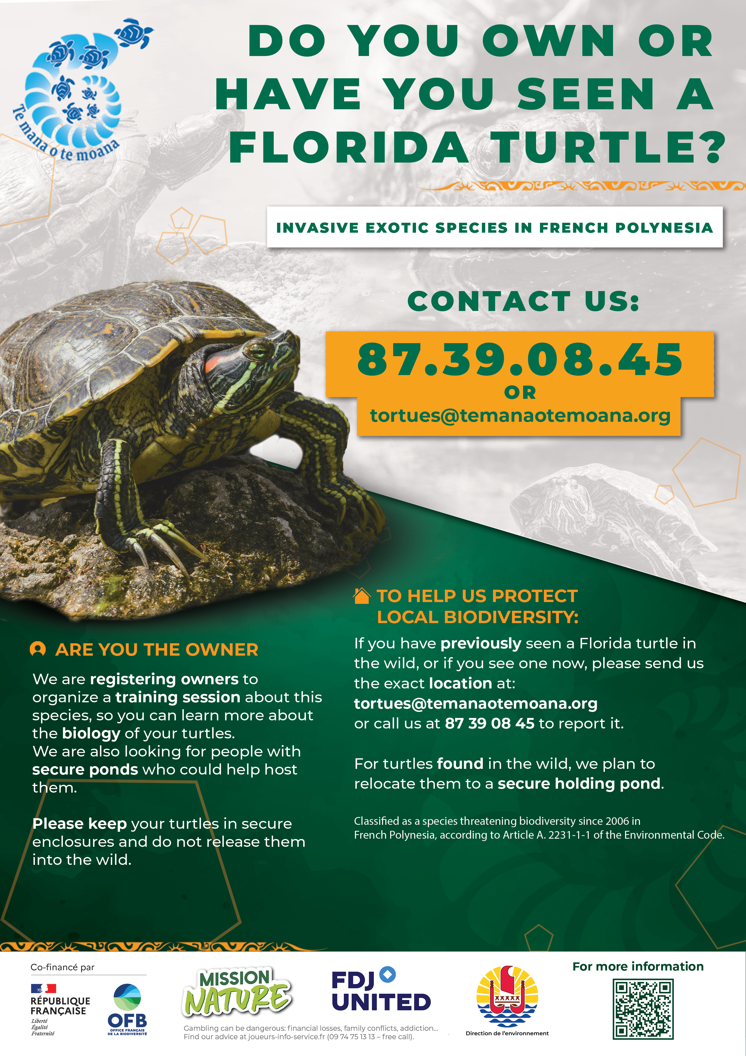 AFFICHE_A4_TORTUE_DE_FLORIDE_ANG