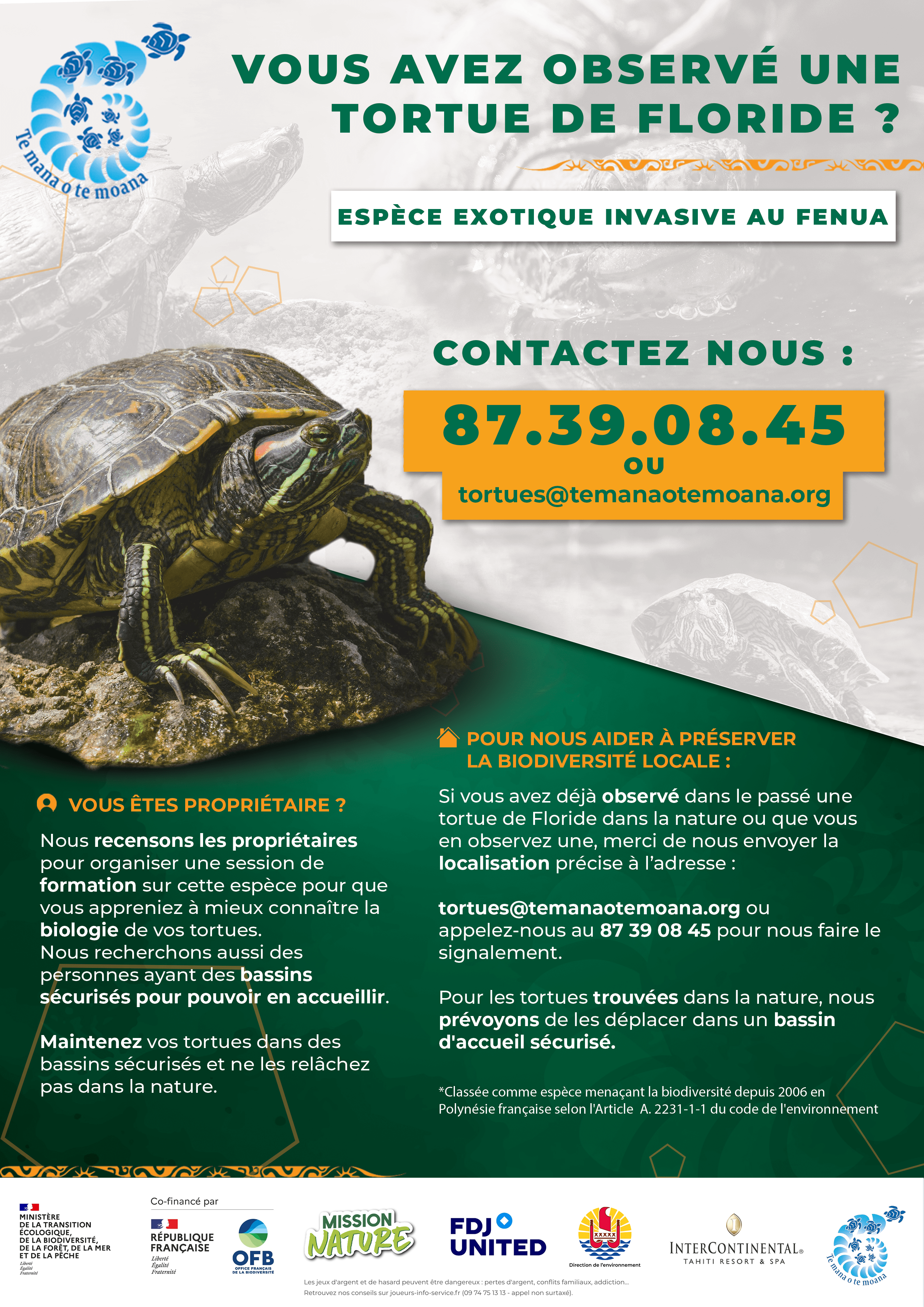 AFFICHE_A4_TORTUE_DE_FLORIDE_5-min