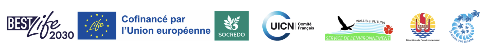 Capture d’écran 2025-11-13 à 15.26.32