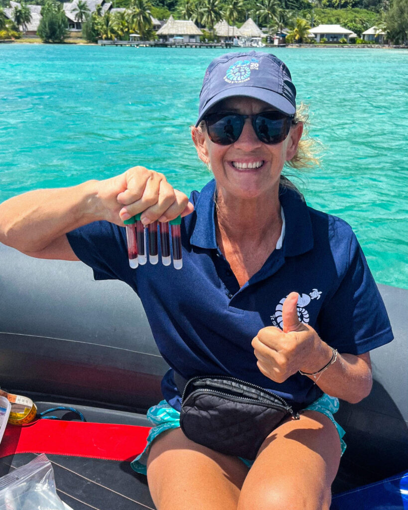 honu iti 3- te mana o te moana