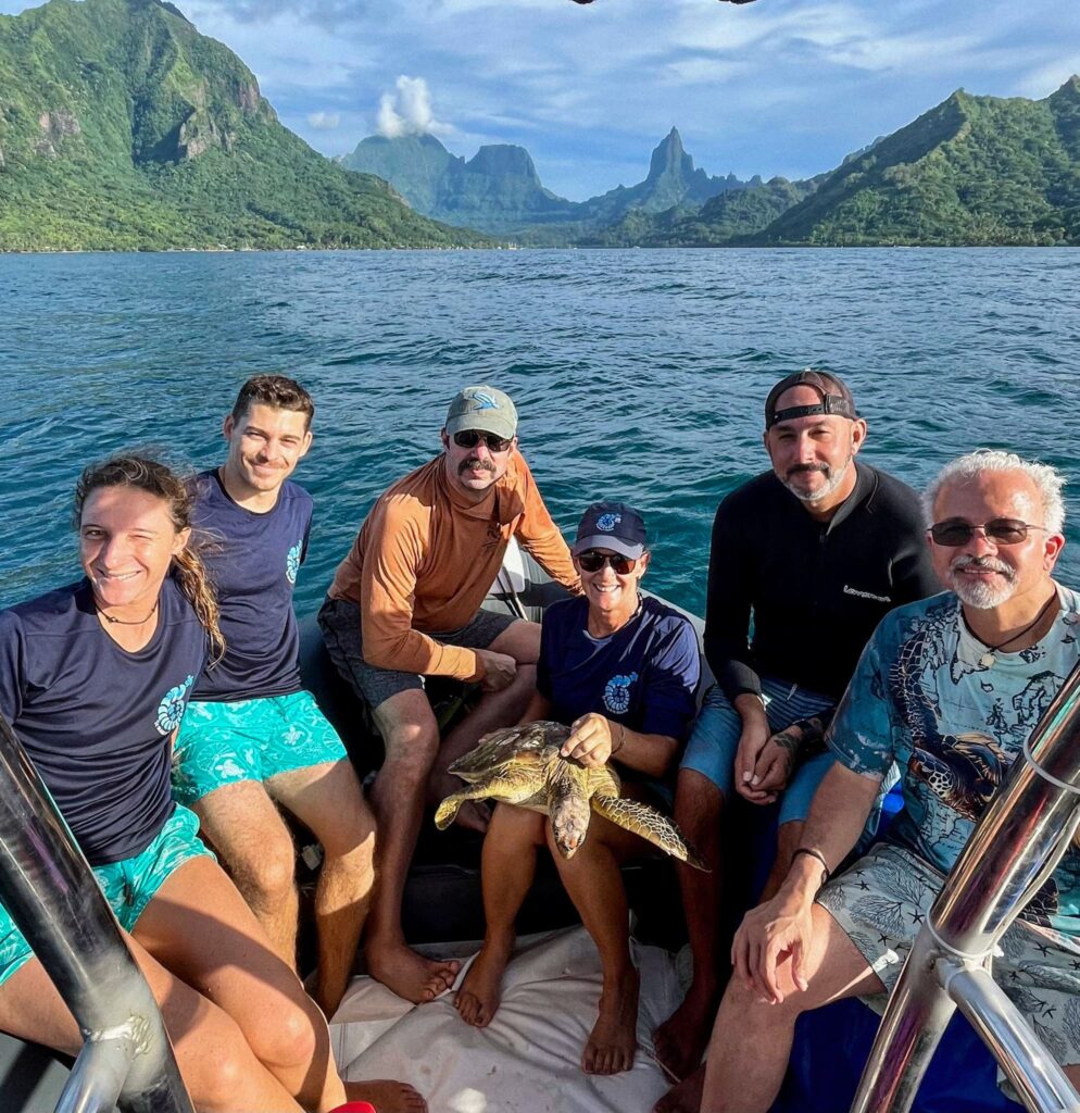 honu iti - te mana o te moana